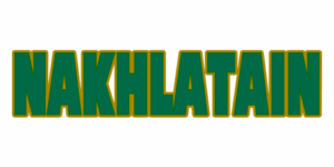 نخلتين