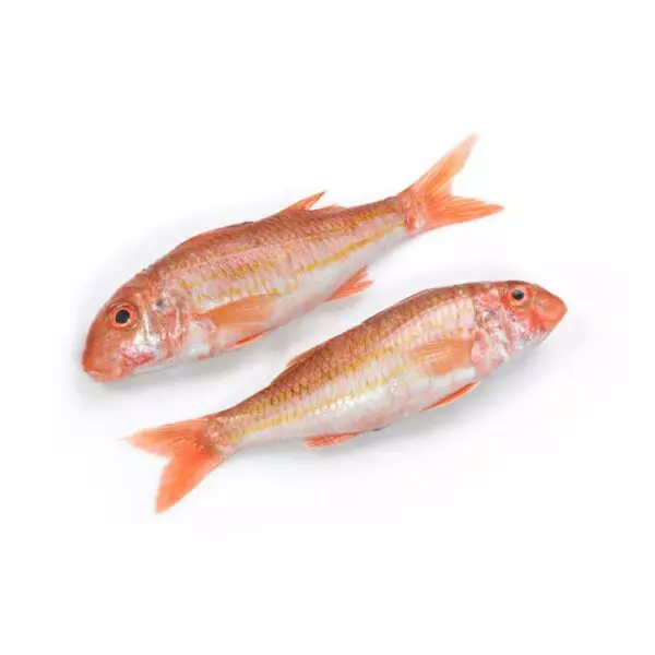 سمك بربوني كامل طازج 600 جم